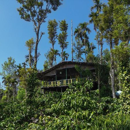 The Mountain Tree Home วายานาด ภายนอก รูปภาพ