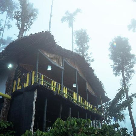 The Mountain Tree Home วายานาด ภายนอก รูปภาพ