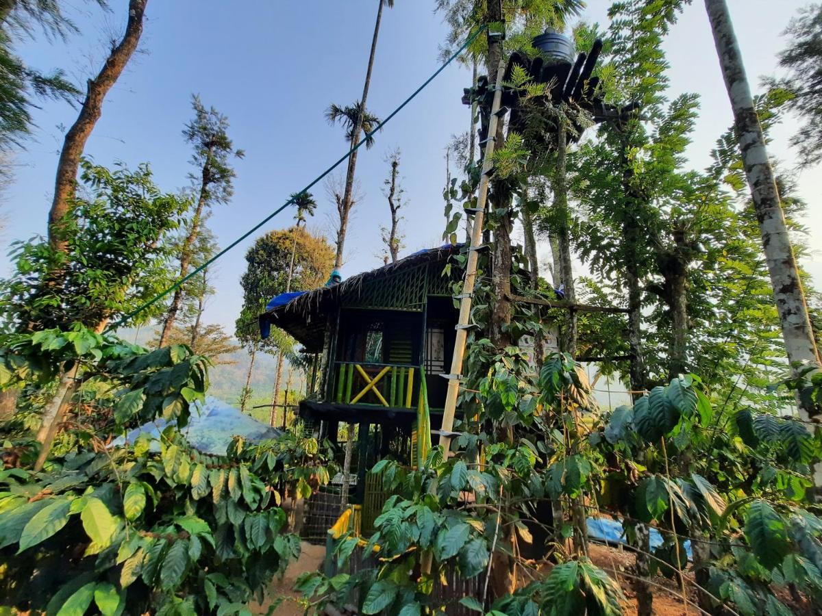 The Mountain Tree Home วายานาด ภายนอก รูปภาพ