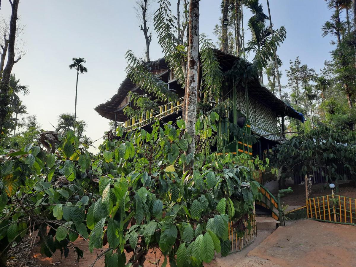 The Mountain Tree Home วายานาด ภายนอก รูปภาพ