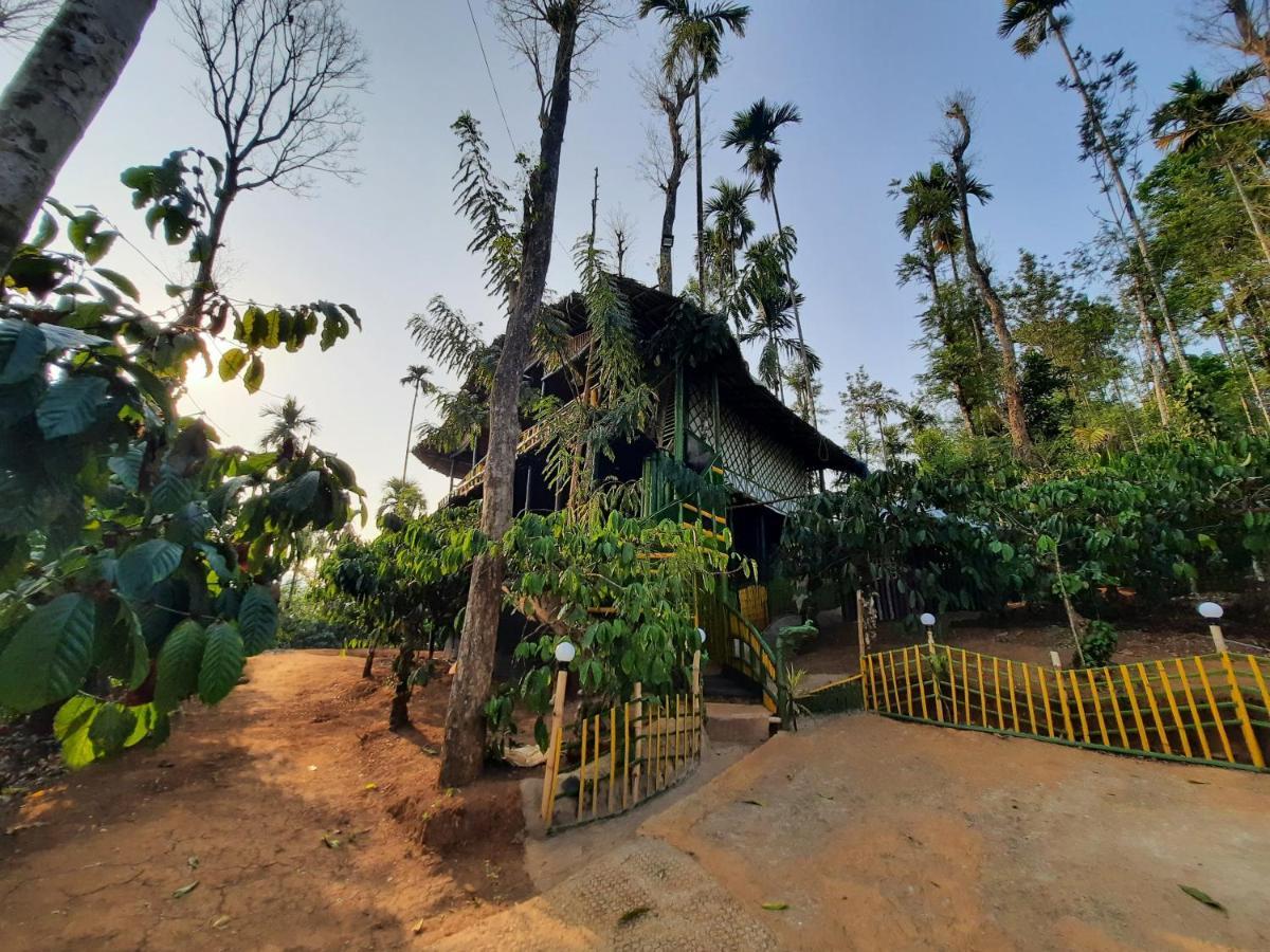 The Mountain Tree Home วายานาด ภายนอก รูปภาพ
