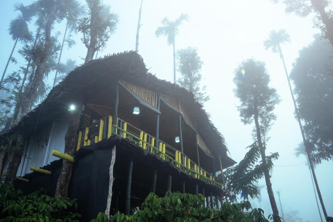 The Mountain Tree Home วายานาด ภายนอก รูปภาพ
