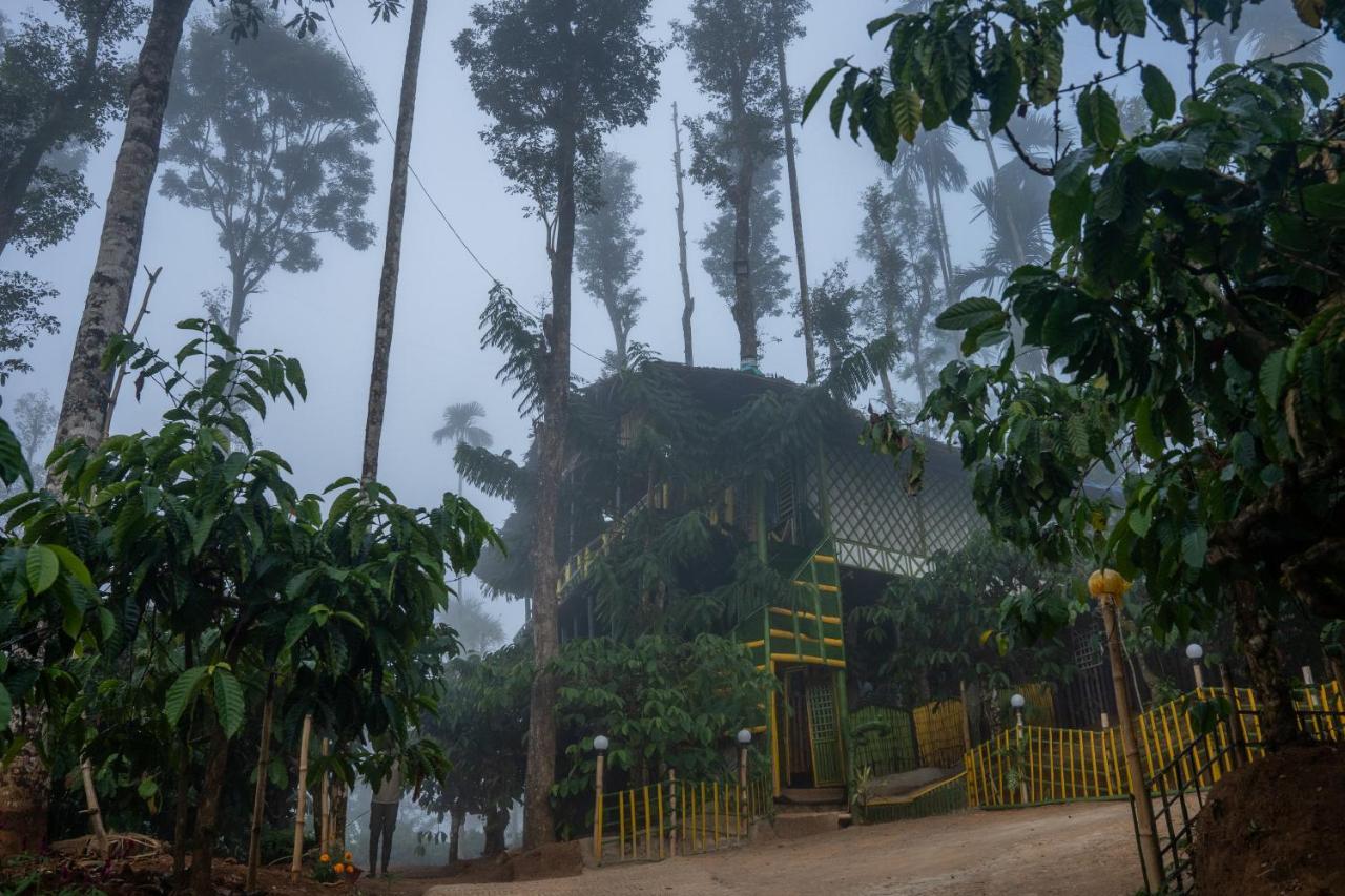 The Mountain Tree Home วายานาด ภายนอก รูปภาพ